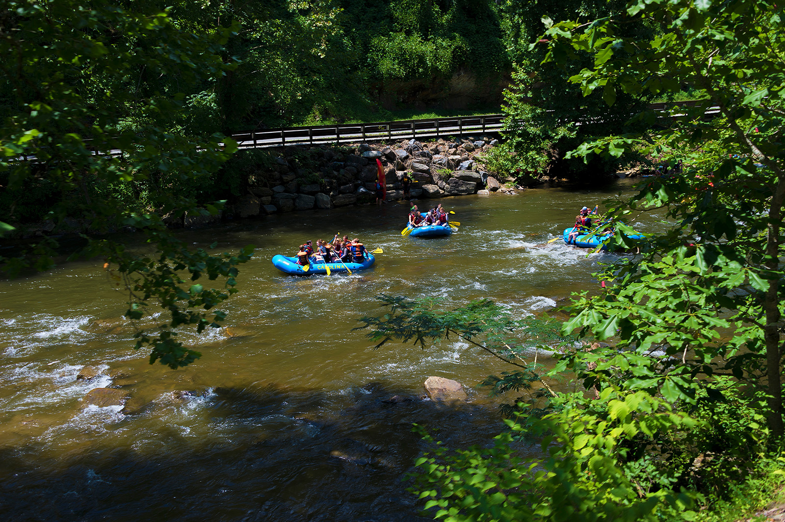 Whitewater, Gold Medals, and Green Cash - Vimarsana News