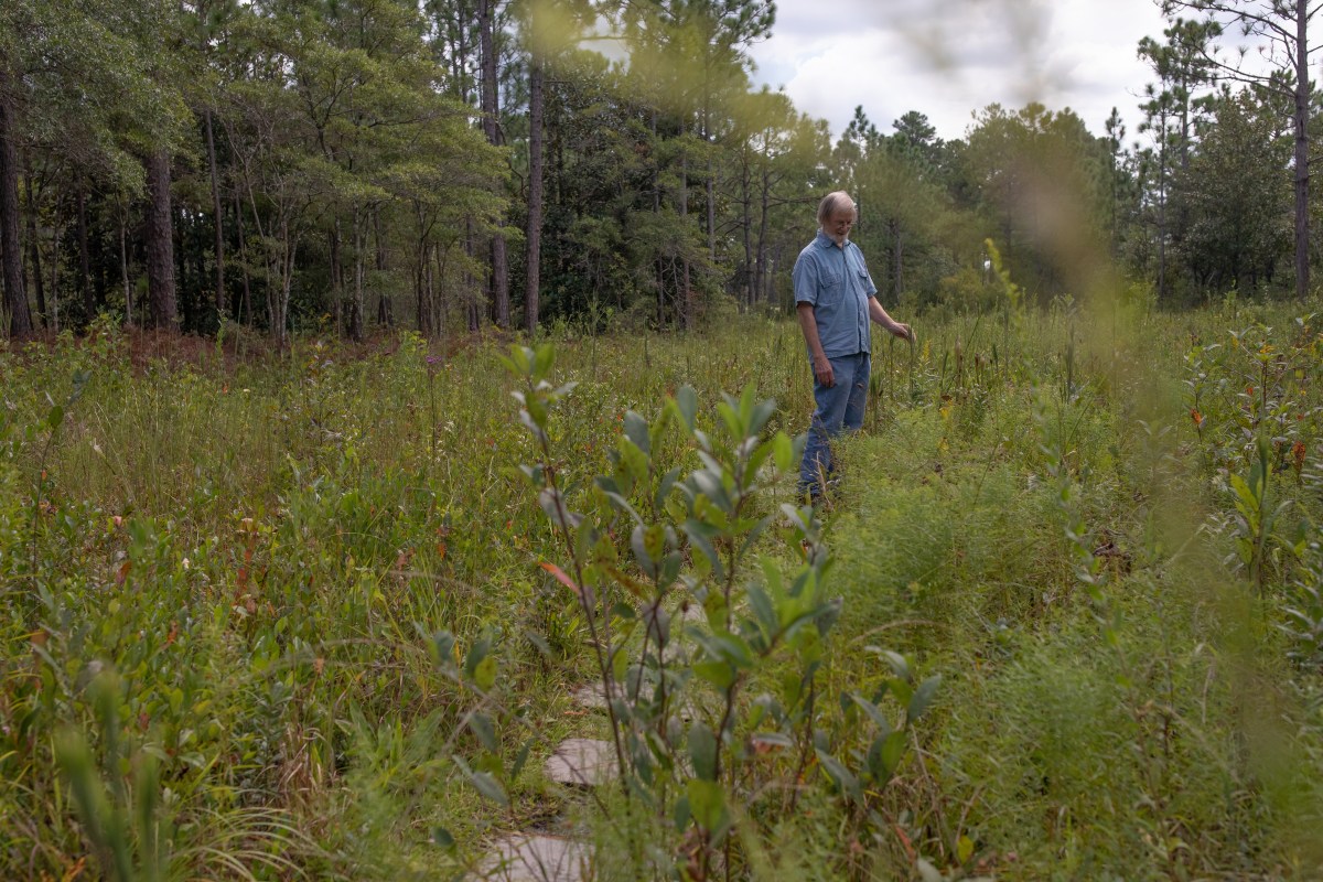 Roger Shew walks through a grassy field
