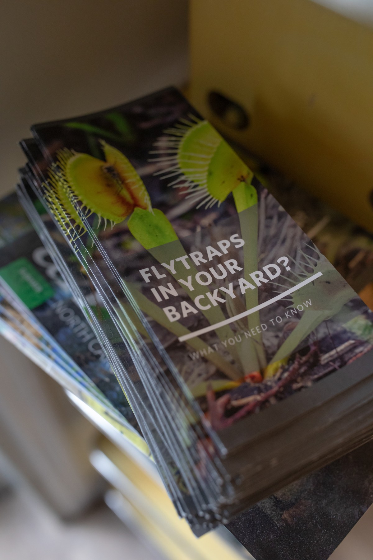 brochures about what to do with venus flytraps in your yard