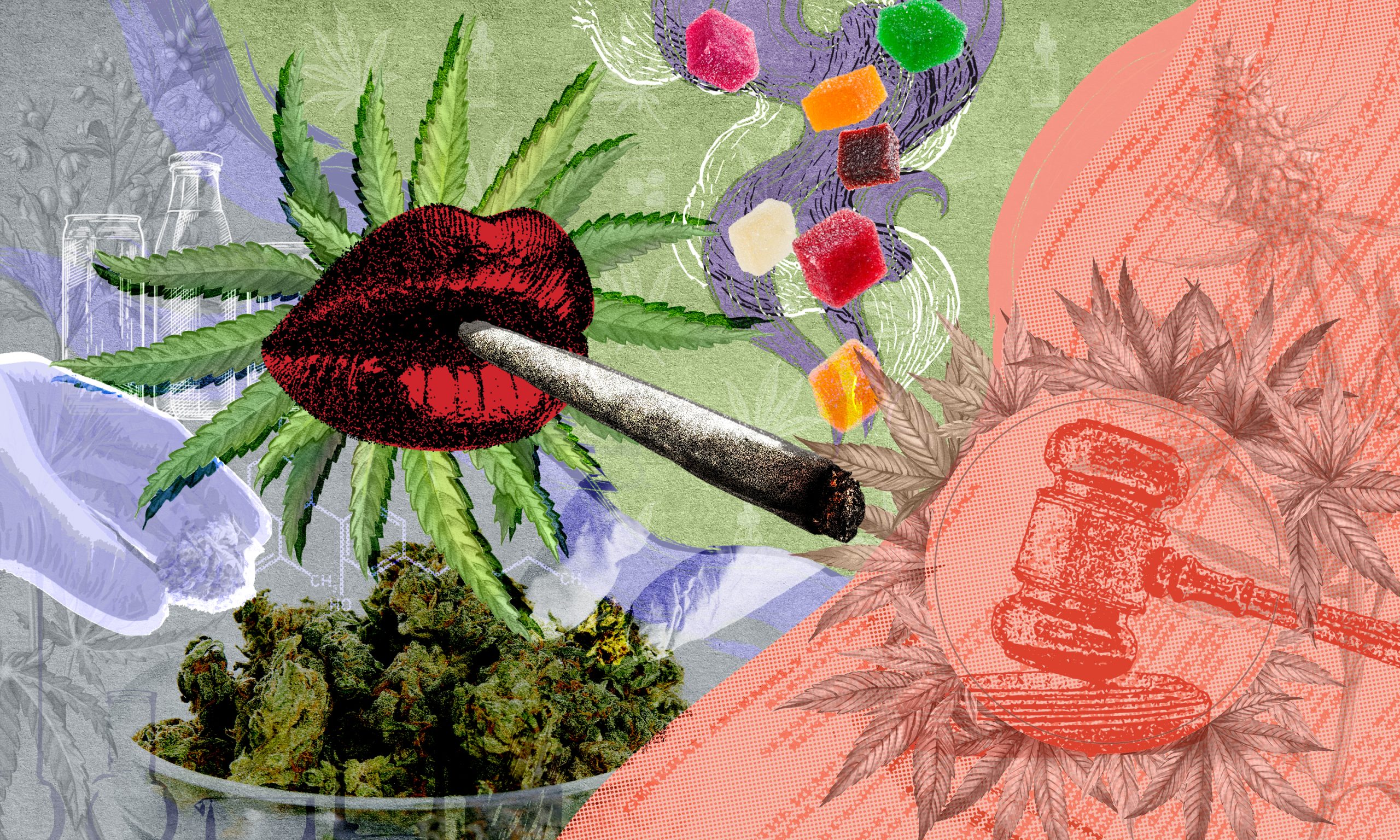 Barely Legal: An Assembly Investigation Into N.C. Hemp