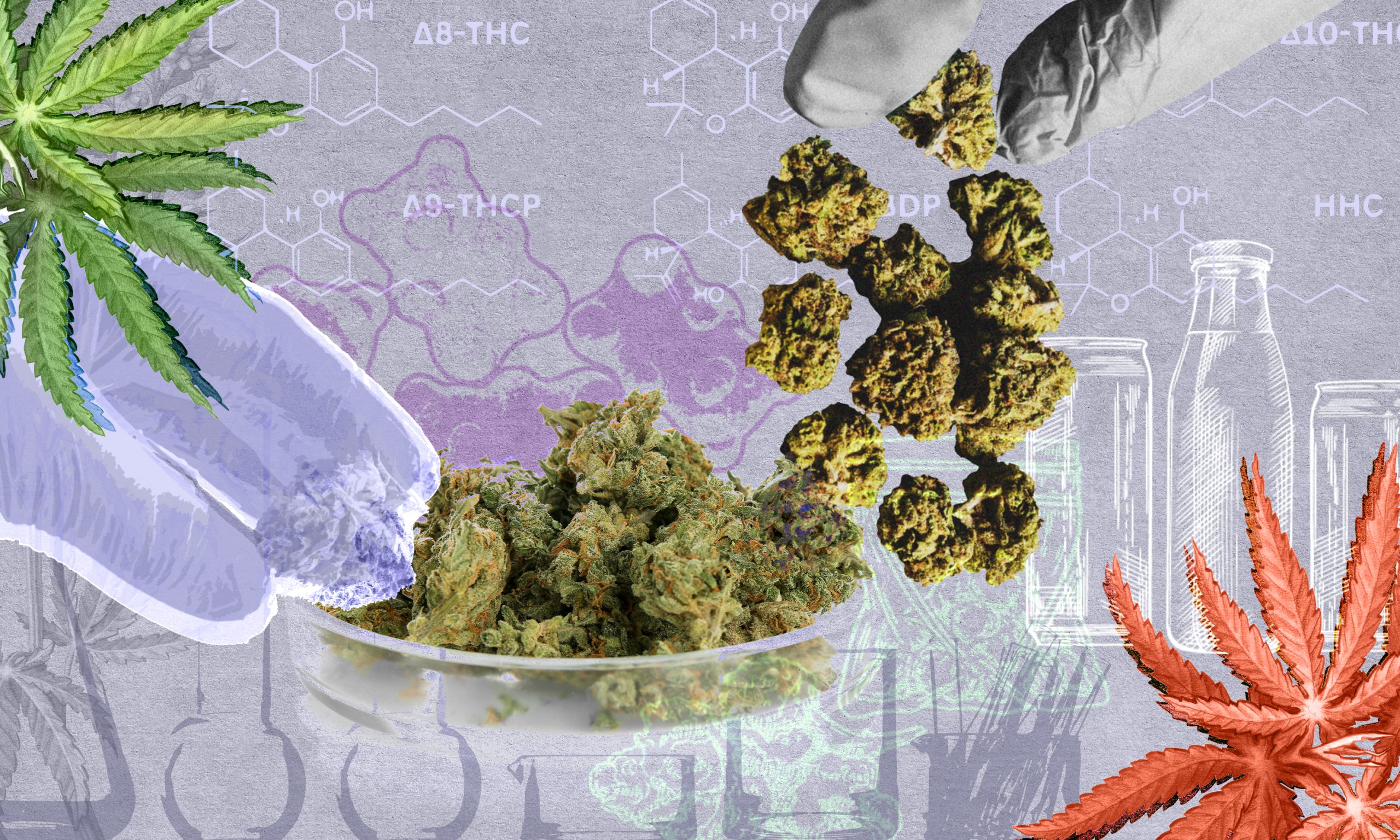 What’s in My Weed?